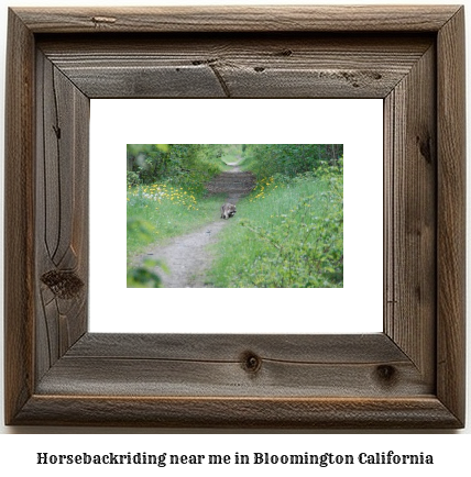 horseback riding near me in Bloomington, California